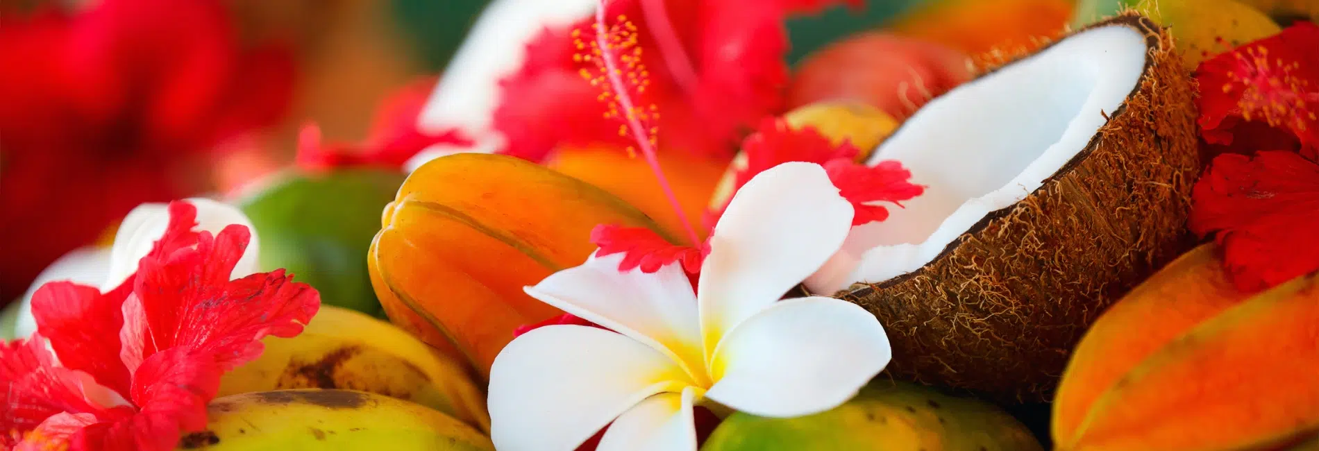 Island Cuisine Guide